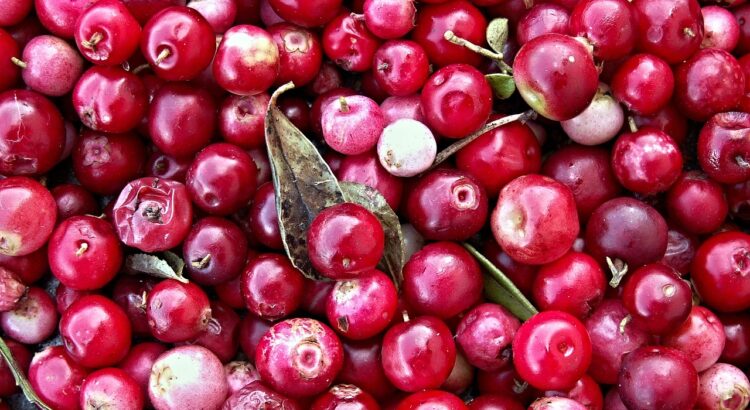 cranberries, black berries, from wild berries