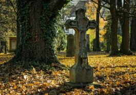 autumn, cemetery, cross, fall, graveyard, fallen leaves, tomb, tombstone, churchyard, memorial