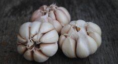 garlic, cloves of garlic, flavoring, seasoning, garlic, garlic, garlic, garlic, garlic