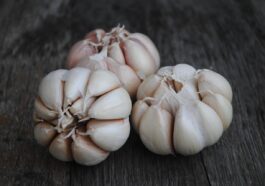 garlic, cloves of garlic, flavoring, seasoning, garlic, garlic, garlic, garlic, garlic