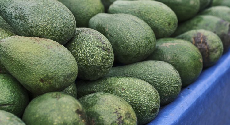 Avocado Vegetable Fruit Green  - Engin_Akyurt / Pixabay