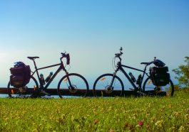 Bikes Nature Bicycle Cycling Cycle  - mtomicphotography / Pixabay