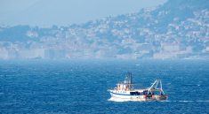 Boat Fishing Sea Ocean Dubrovnik  - anikinearthwalker / Pixabay