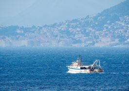 Boat Fishing Sea Ocean Dubrovnik  - anikinearthwalker / Pixabay
