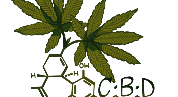 Cannabis Cbd Hemp Cannabidiol  - Katamaheen / Pixabay