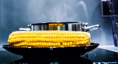 Corn Corn On The Cob Stove Oven  - StockSnap / Pixabay
