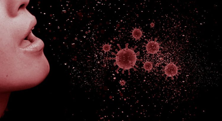 Coronavirus Virus Spread Flu  - mohamed_hassan / Pixabay