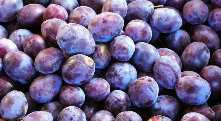 Fruit Plums Harvest Food Healthy  - matthiasboeckel / Pixabay