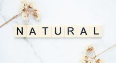 Natural Herbal Flowers Word  - lifestylehack / Pixabay