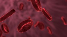 Red Blood Cells Microbiology Biology  - allinonemovie / Pixabay