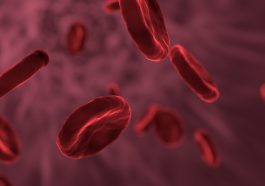 Red Blood Cells Microbiology Biology - allinonemovie / Pixabay