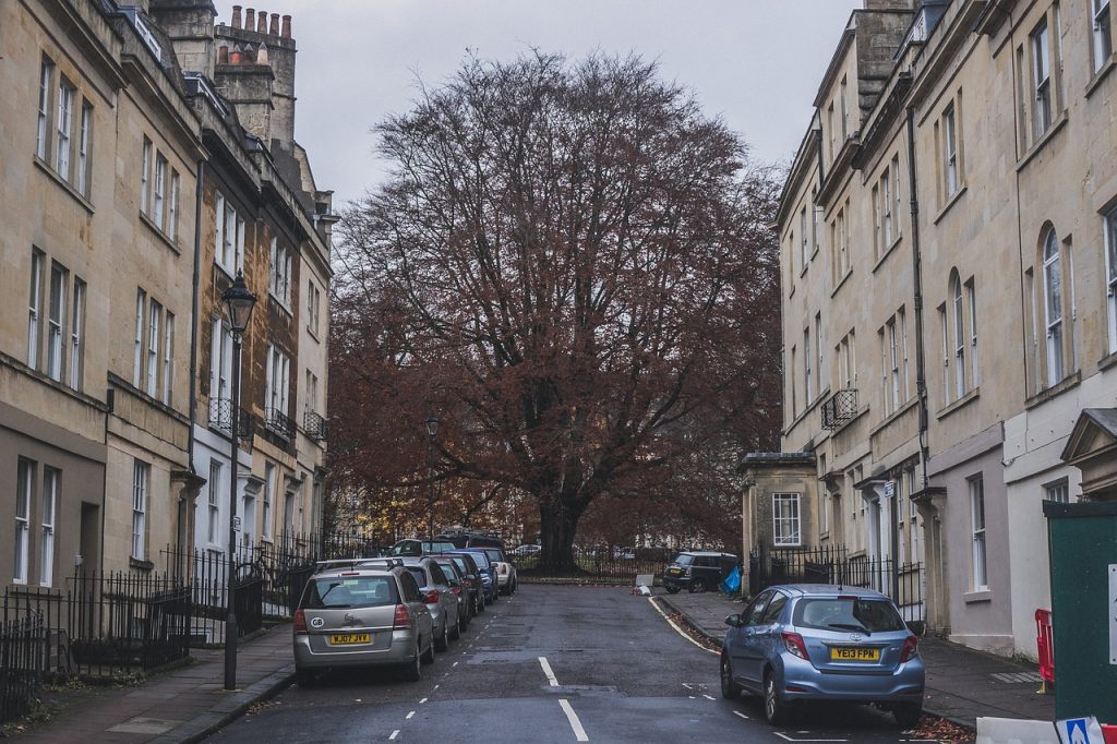 Tree Hill Street Way Road 